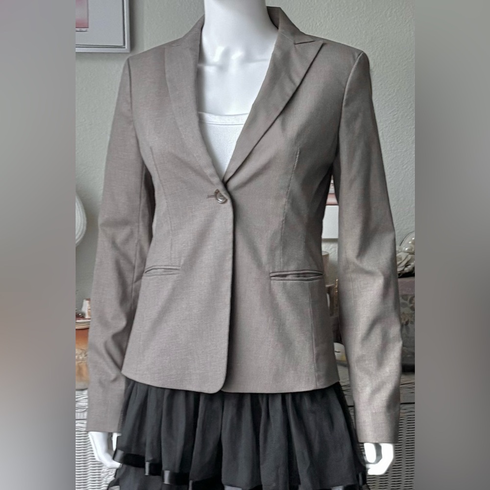 Ann Taylor Blazer One Button Peak Lapel Textured Pin Stripes Light Brown Size 2